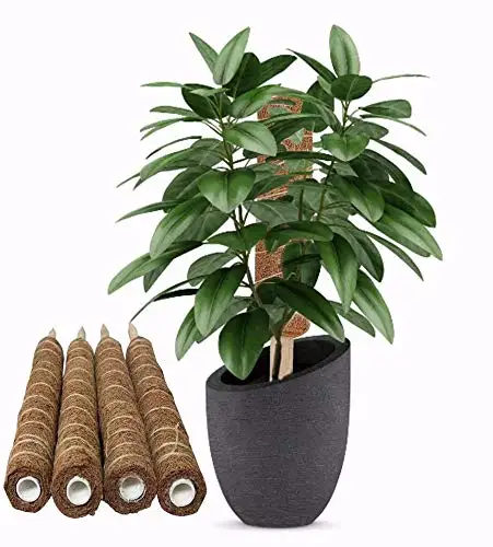 Plant Support Totem Pole Coconut Sticks Coco Coir Poles Support Plants To Grow Upwards  Climbing supporters