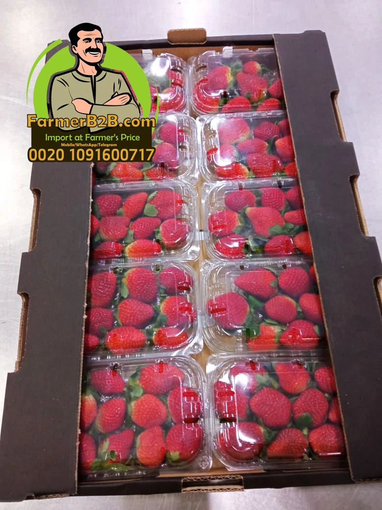 Свежая клубника 2021/2022 европейского качества + очень конкурентоспособная цена