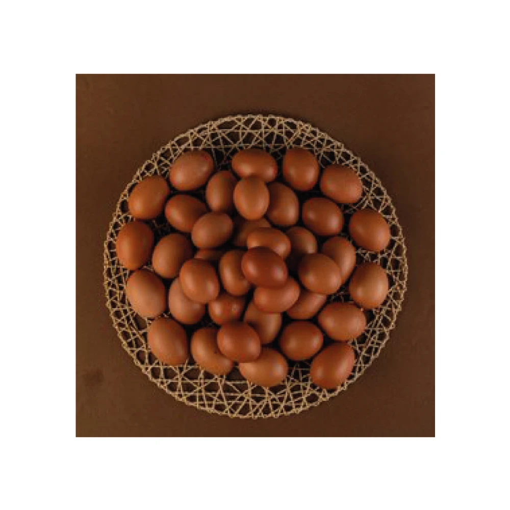 High Quality Organic Certified Free Range Chicken Eggs Wholesale Product - Medium Size 53-62 Grams