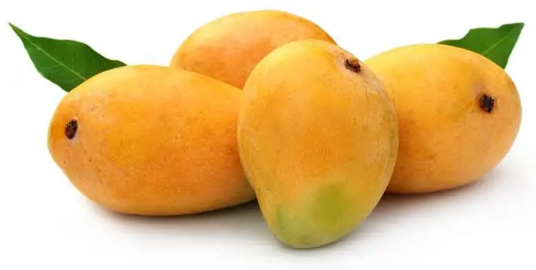 High Quality Fresh Fruit Ataulfo Mango