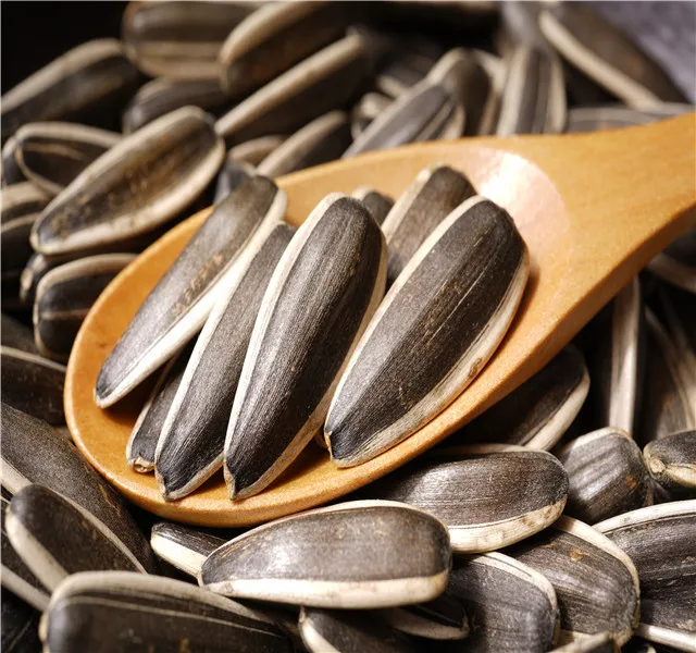 Sunflower seeds wholesale