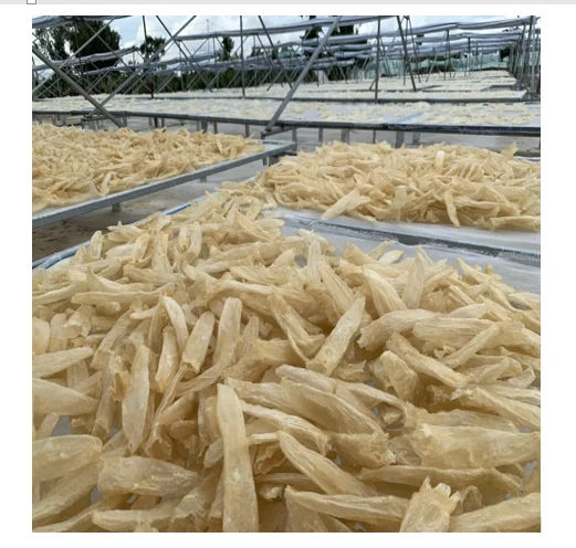  Сушеные морепродукты богатые здоровые рыбы MAW/рыбный пузырь-вьетнамские сушеные морские окунь MAW 99 золотые данные