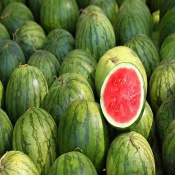
Fresh water melon/Fresh Melons/ fresh watermelon Wholesale 