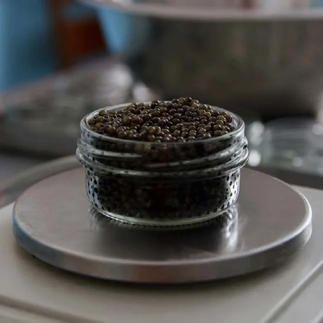 
Kaluga/Beluga Caviar Price 