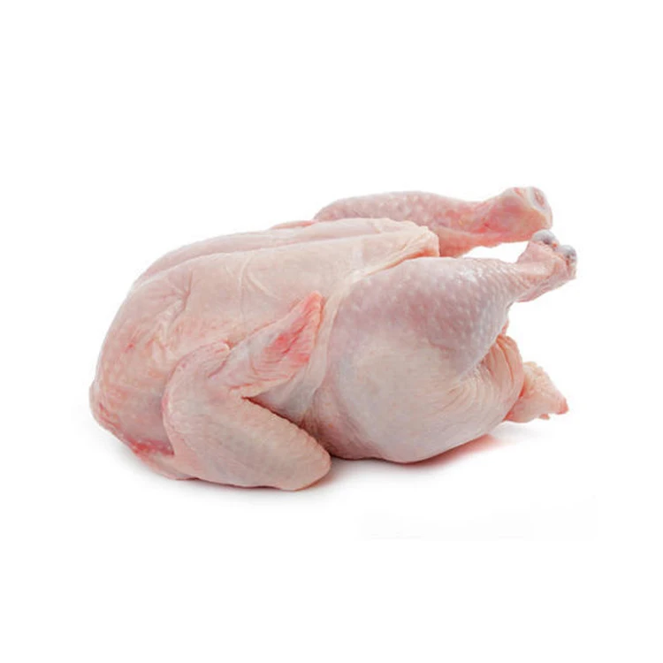 
Best Quality Nutritious Frozen Whole Halal Chicken Supplier 