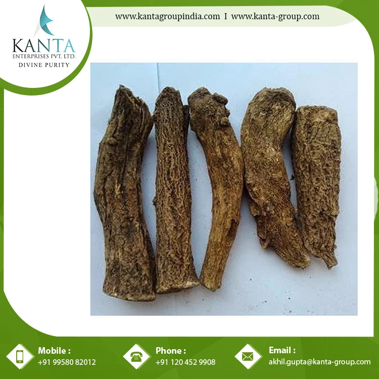 Best Costus Roots Essential Oil used as a Flavouring Component in Food and Beverages at Bulk Supplier Wholesale Price