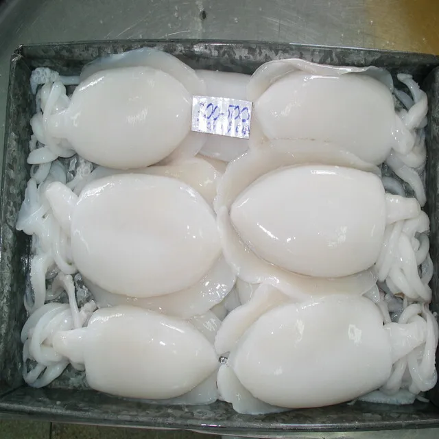 
VIET NAM FROZEN WHOLE CLEANED CUTTLEFISH ISO/HACCP 