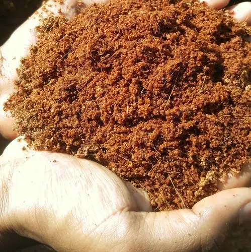 Premium Coco Coir Brick | Compressed Growing Medium/Perfect As Hydroponics Garden Soil/ 100%  Organic and Eco-Friendly Viet Nam
