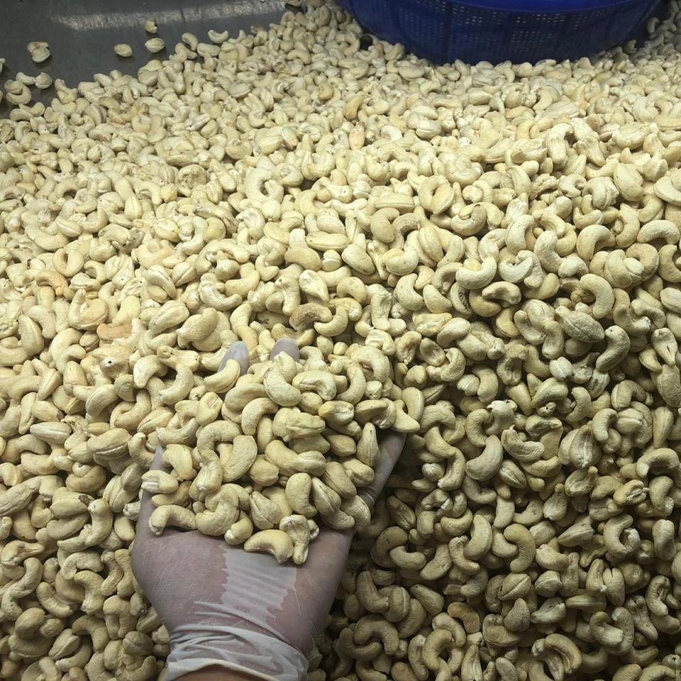 100% VIETNAM CASHEW NUTS KERNEL WW180/ WW240/ WW320/ WW450-Cashew Nuts LP/ SP-Good Quality Wholesale Price Kaju