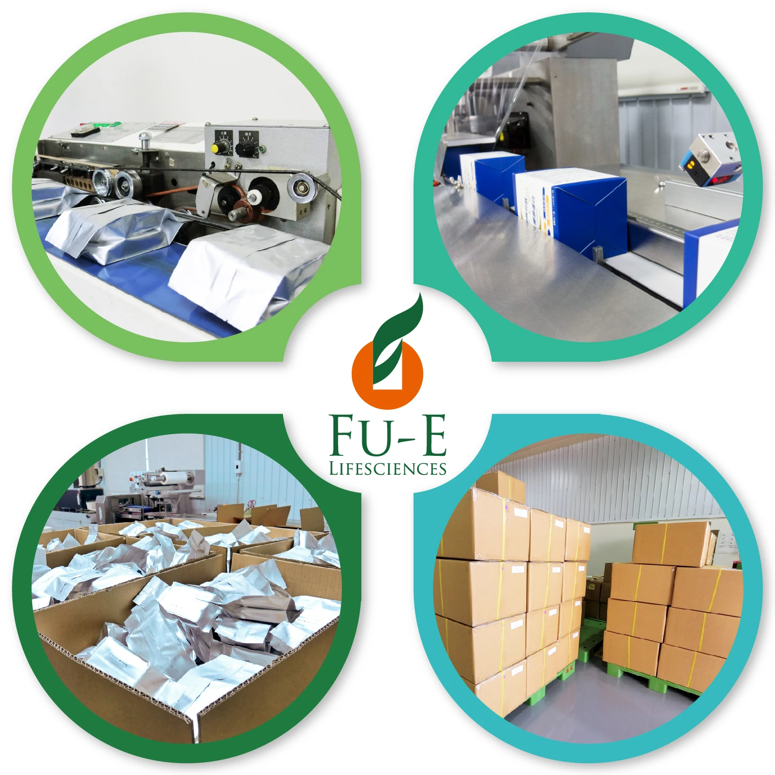 Whey Protein Plus Patented complex of probiotics Chocolate Flavor