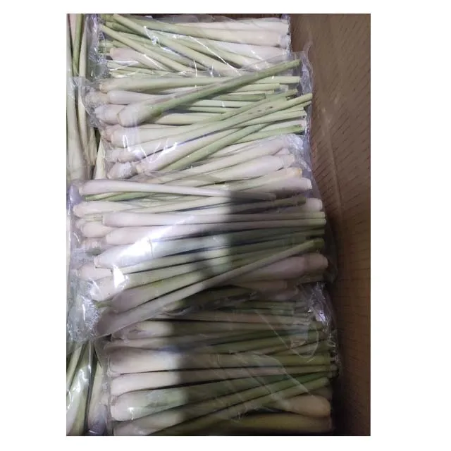Замороженный органический тропический Лемонграсс IQF по лучшей цене, оптовая продажа, высокое качество из Вьетнама
