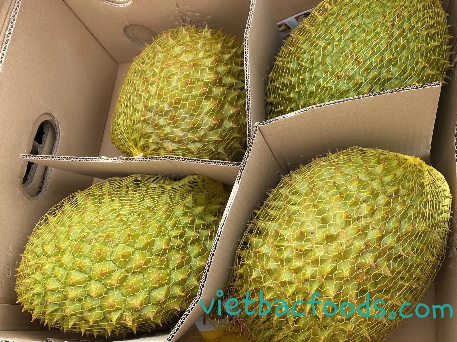 
Made In Vietnam Products Disposal Fresh Durian fruits 100% Money-Back Guarantee Hot Sale Now 