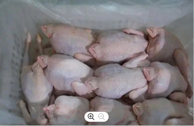 Оптовая продажа замороженных цыплят HACCP Халяль замороженная цельная курица