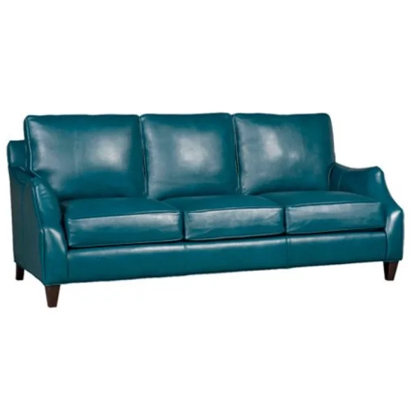 Living room leather sofa