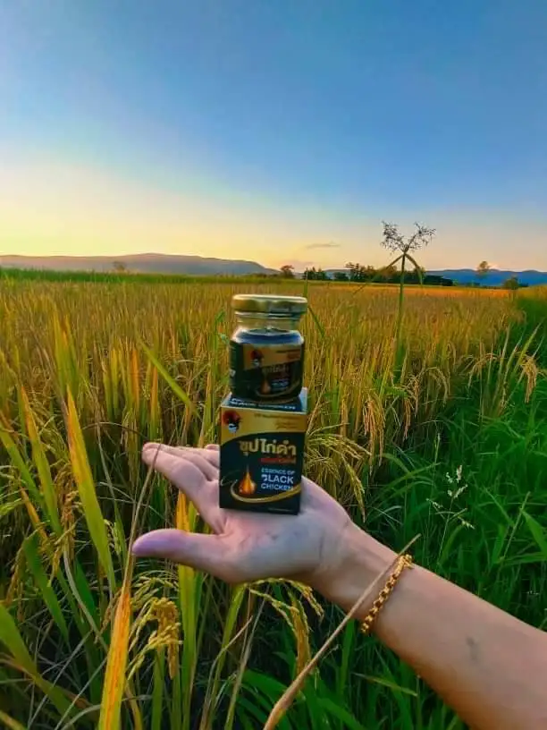 black chicken soup of thailand
