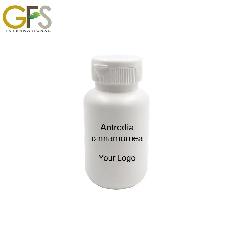 daily Turmeric health food products manufacturers