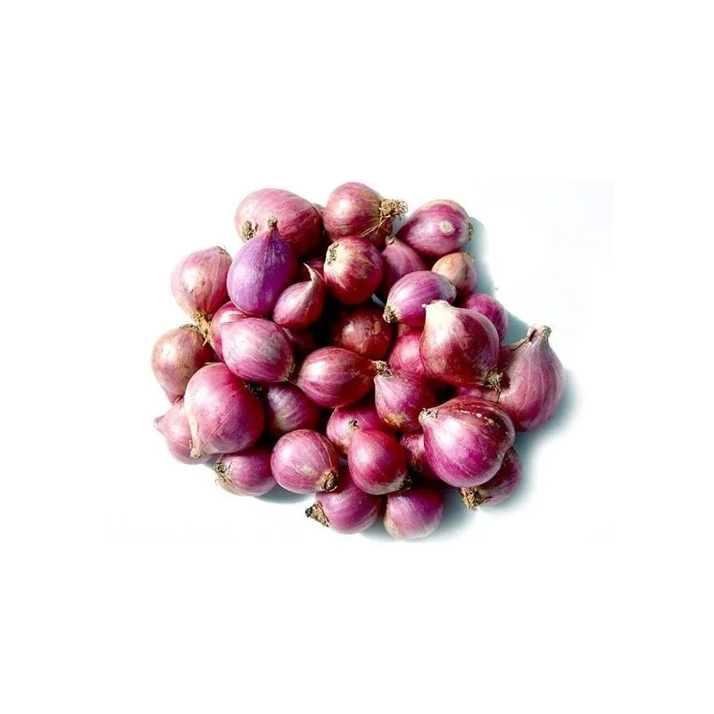 Onions Price Ton New Crop 20kg/25kg per bag, 5-7cm/6-8cm / Big Onion for Export