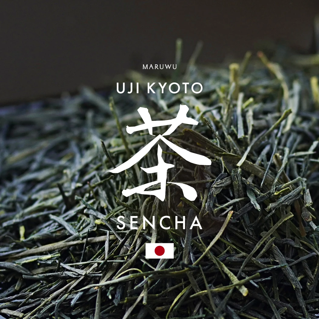 
Japanese Wholesale Sencha health buy organic green tea for daily drinking use 