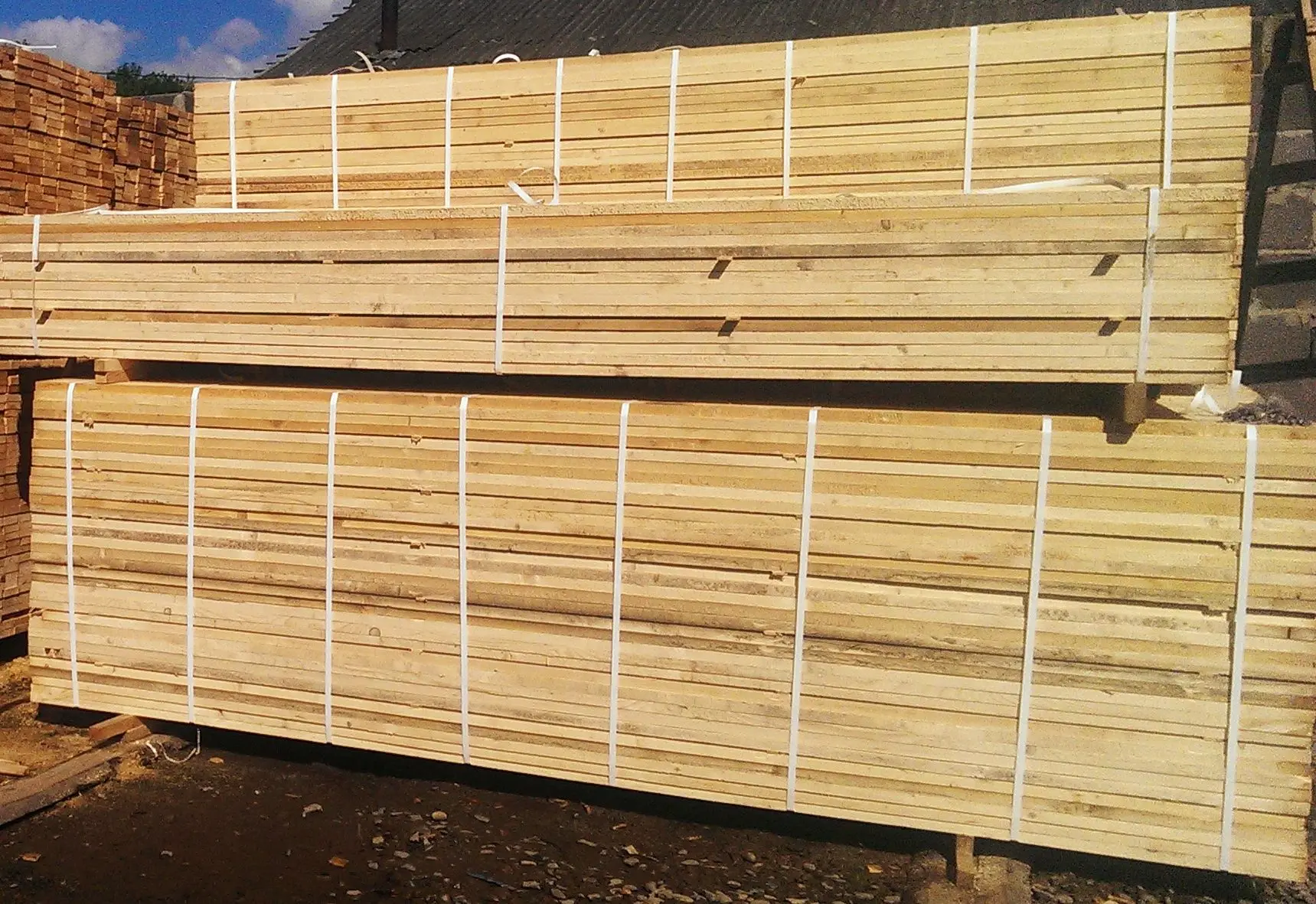 Quality pine wood timber for sale