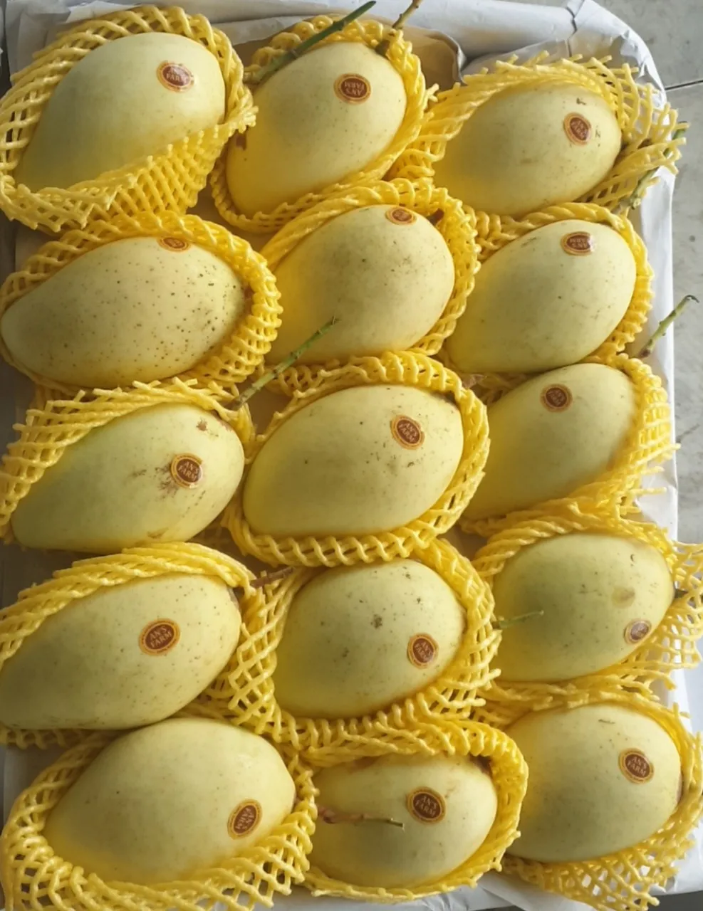 Дешевые свежие фрукты манго из Вьетнама/свежие высокого