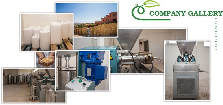 Liquid Form Organic Wound Healing Properties Linseed Oil from Morocco