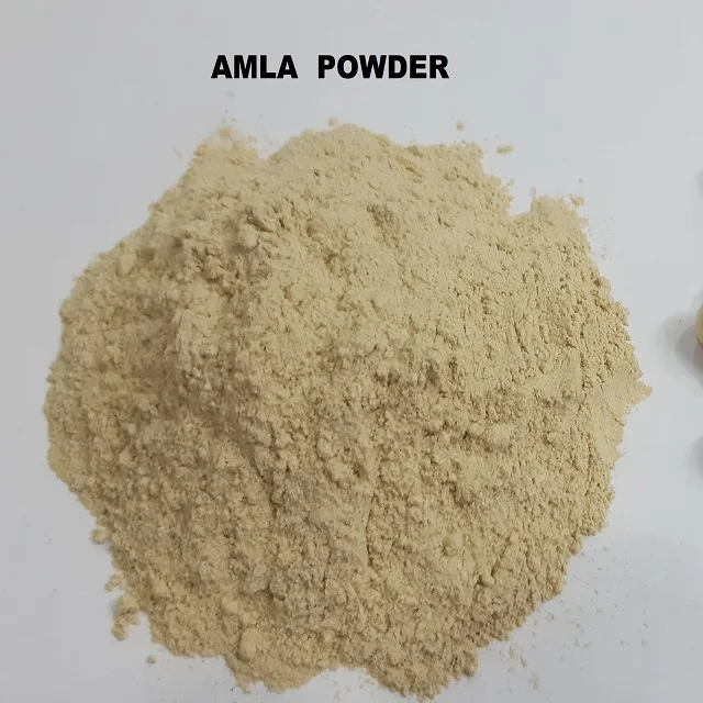 High Quality Best Price Amla Powder - Private Label Available