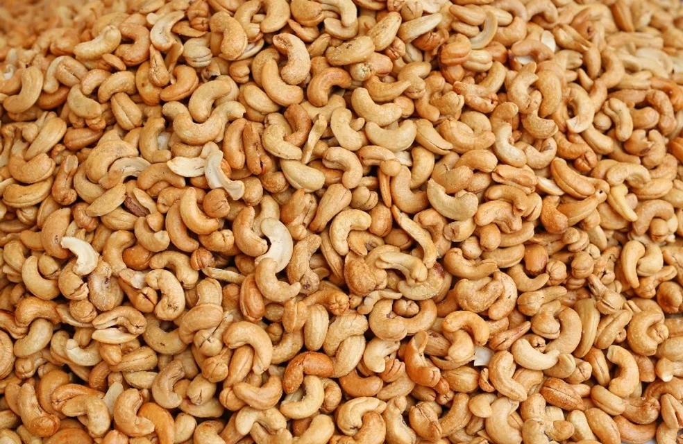 Wholesale Roasted Cashew Nuts with Salt Cashew Nuts W320 W180 W450 W240 from Cashew Kernel Vietnam