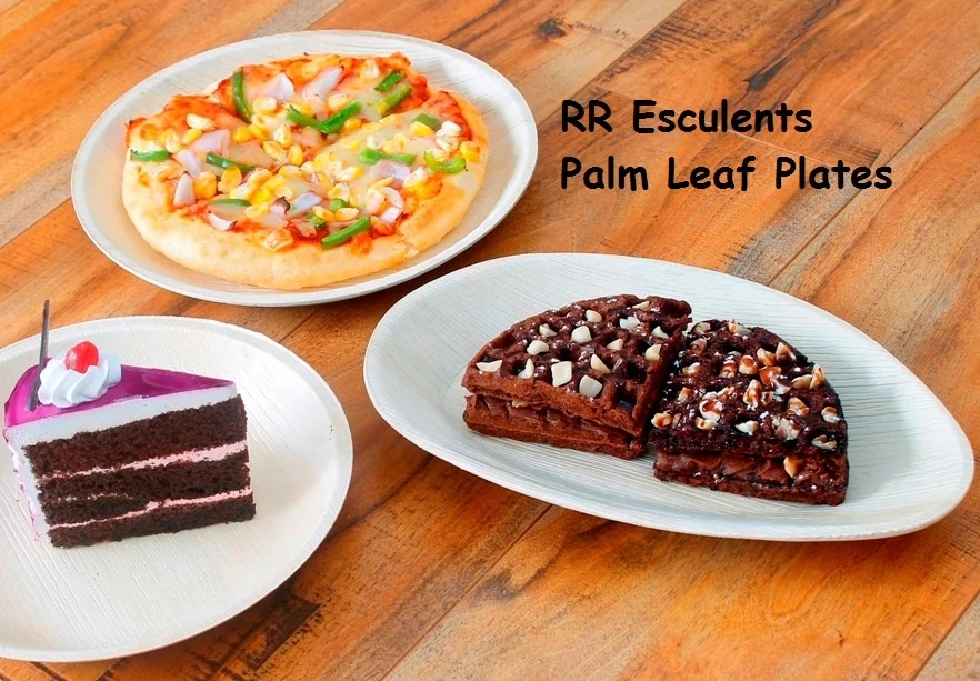 Disposable Palm Leaf Plates and Bowls