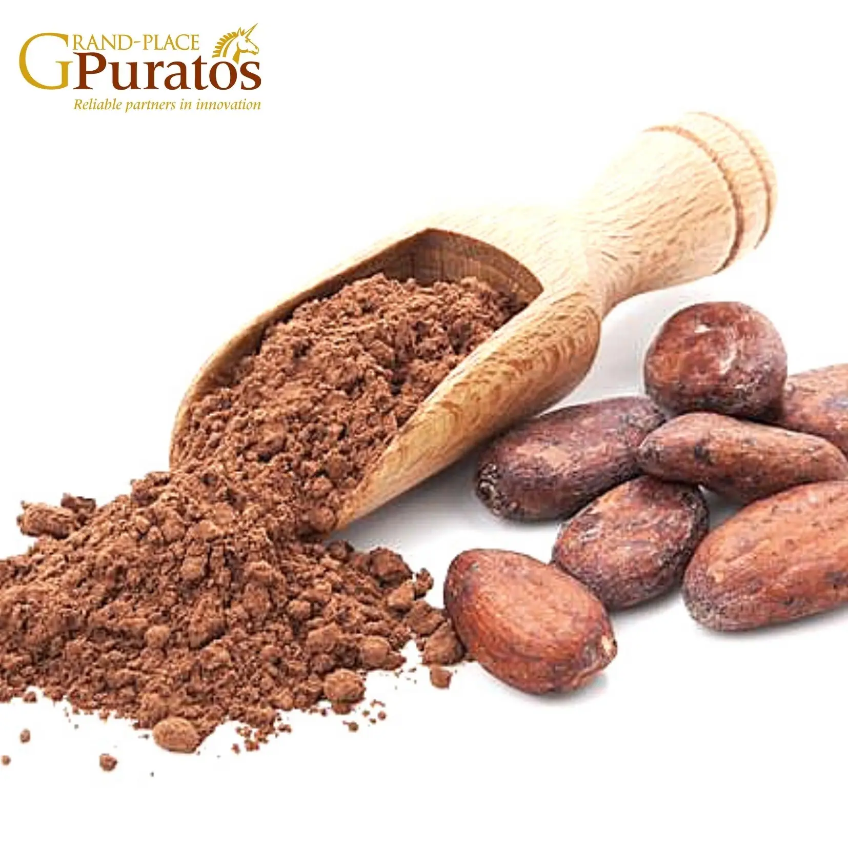 Premium Quality Real Chocolate Powder No Sugar Chocolate Instant Powder Drinks from Puratos Grand-Place Vietnam Best Supplier
