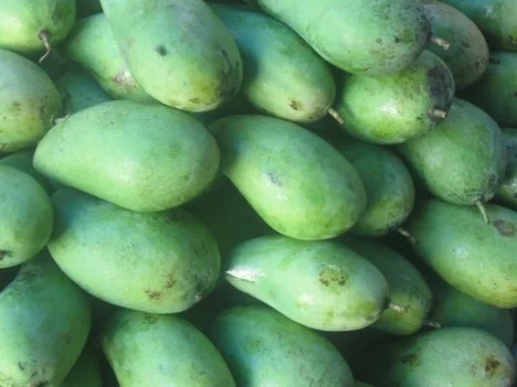 
High Quality GREEN/YELLOW FRESH MANGOES 