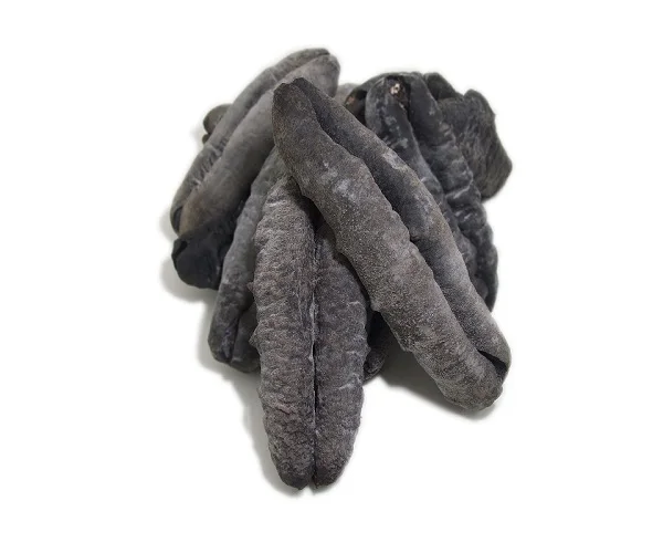 SEA CUCUMBERS with Export Standard