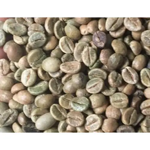  High quality Raw Arabica coffee Beans