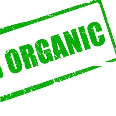 Professional organic translations services Provide High Quality Certificate Translation Services, Across The Globe At delhi