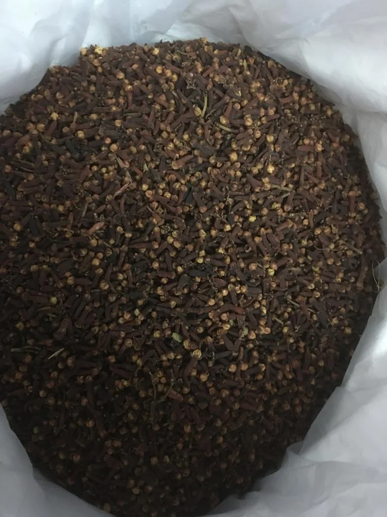 Clove Herbs Spices Top Quality Spices Organic Clove Meat Cooking Products in Bulk High Essential Oil Content Cloves