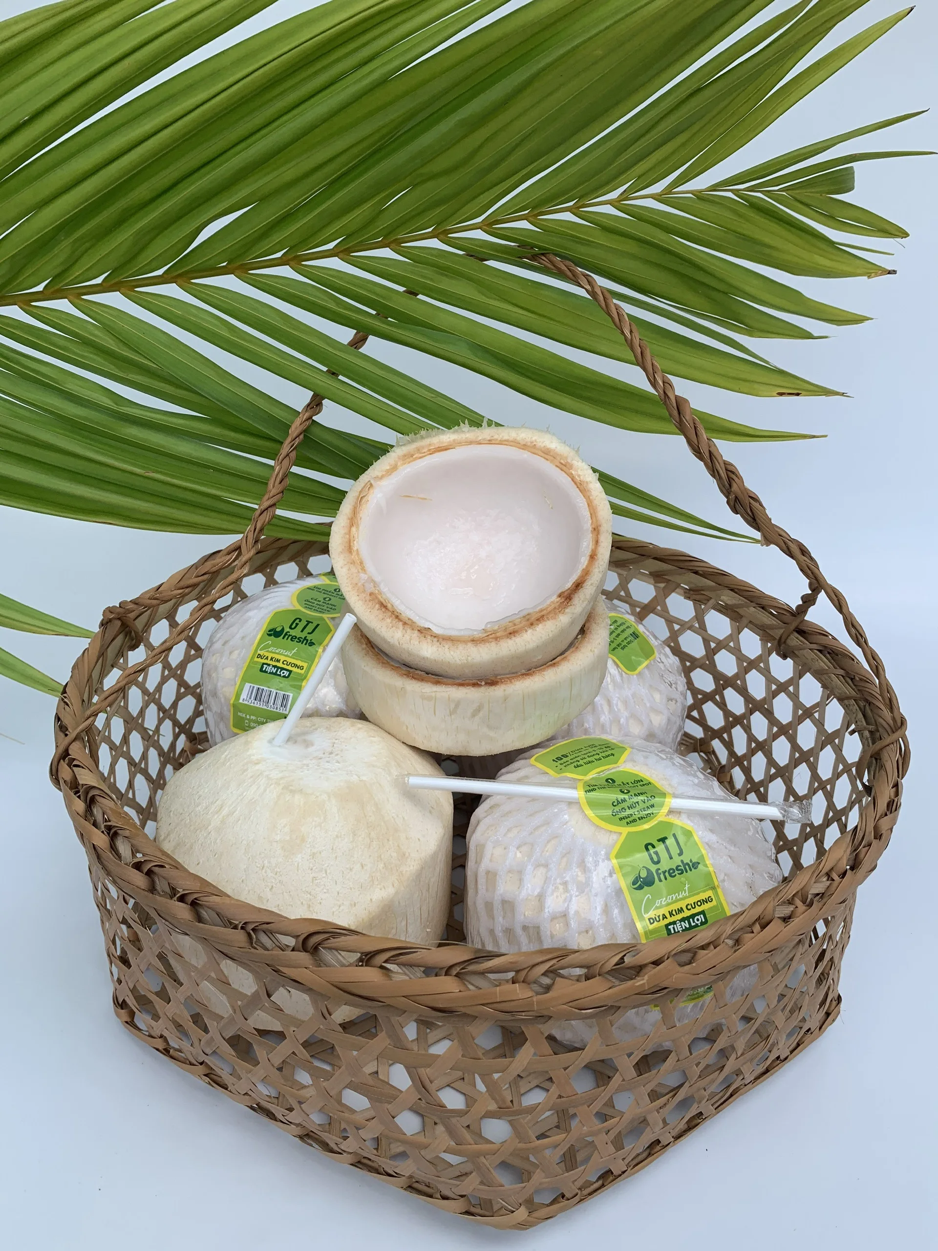 Four Weeks Shell Life Pulp and shell Common Cultivation Type Convenient Diamond Cut Shape Coconut  from Vietnam