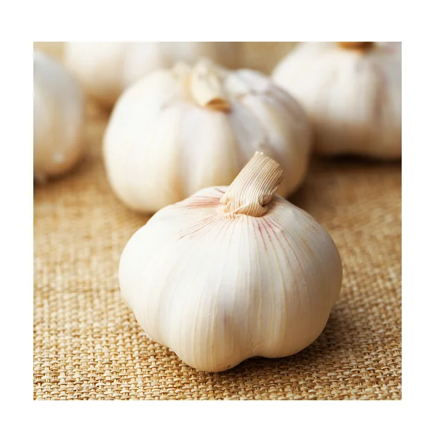 
Wholesale Cheap Price For Top Selling Fresh Garlic 