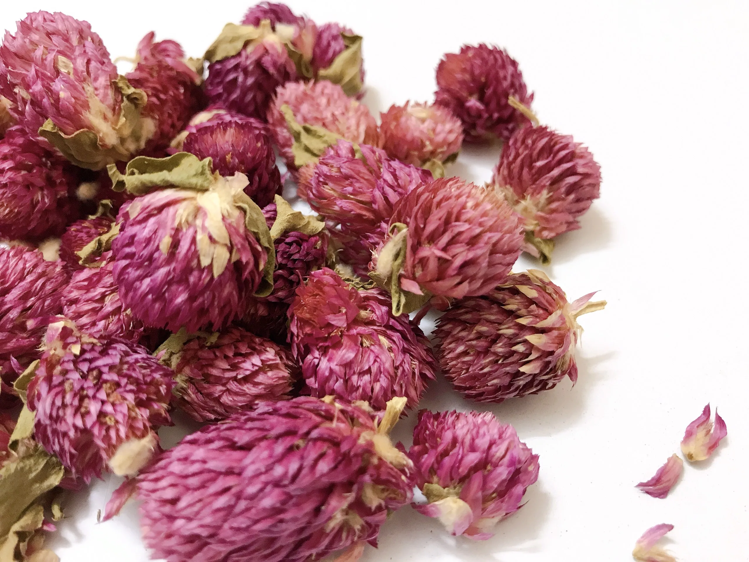 
Herbal Slimming /Health Tea Dired Gomphrena Globosa L/Globe Amaranth Flower Tea W/A contact : +84 90 335 4981 ( Kim ) 