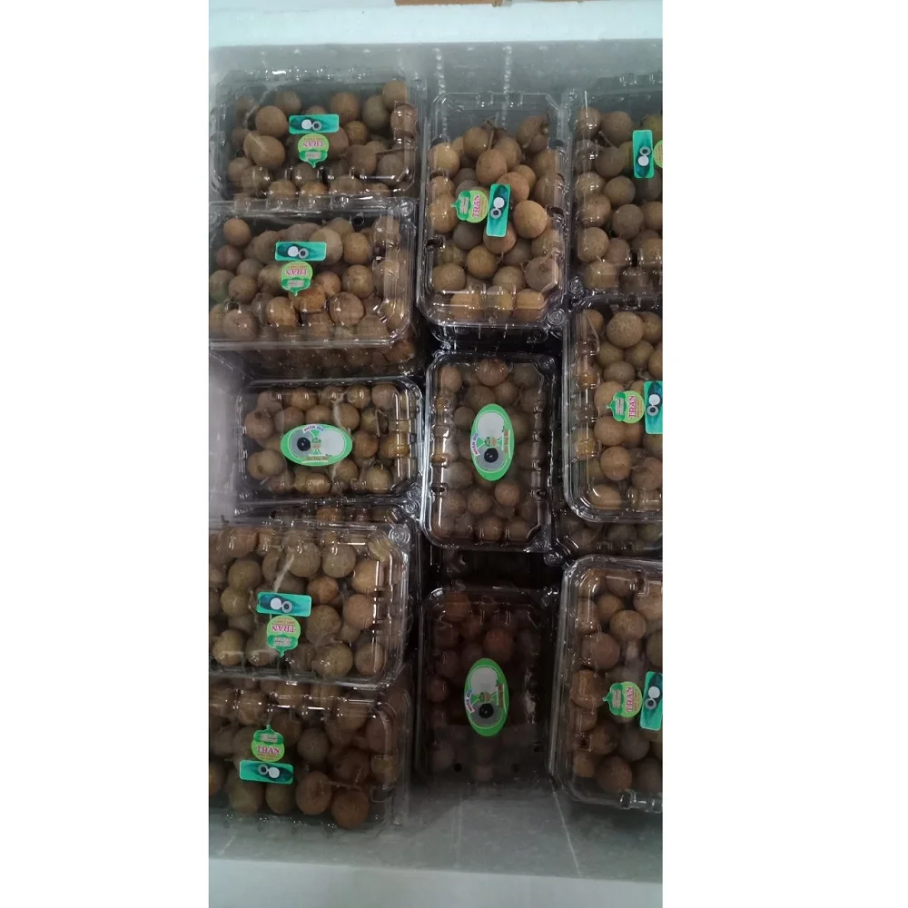 100% Fresh Delicious Tropical Brittle and Thick Meat Dimocarpus Longan With Good Quality Ripe Maturity exported from Vietnam