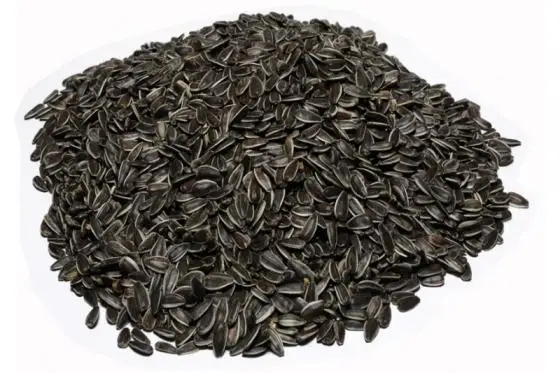 Sunflower Seeds Best Quality