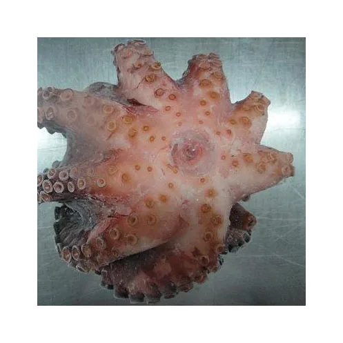 2022 Frozen Octopus / Frozen Seafood Octopus