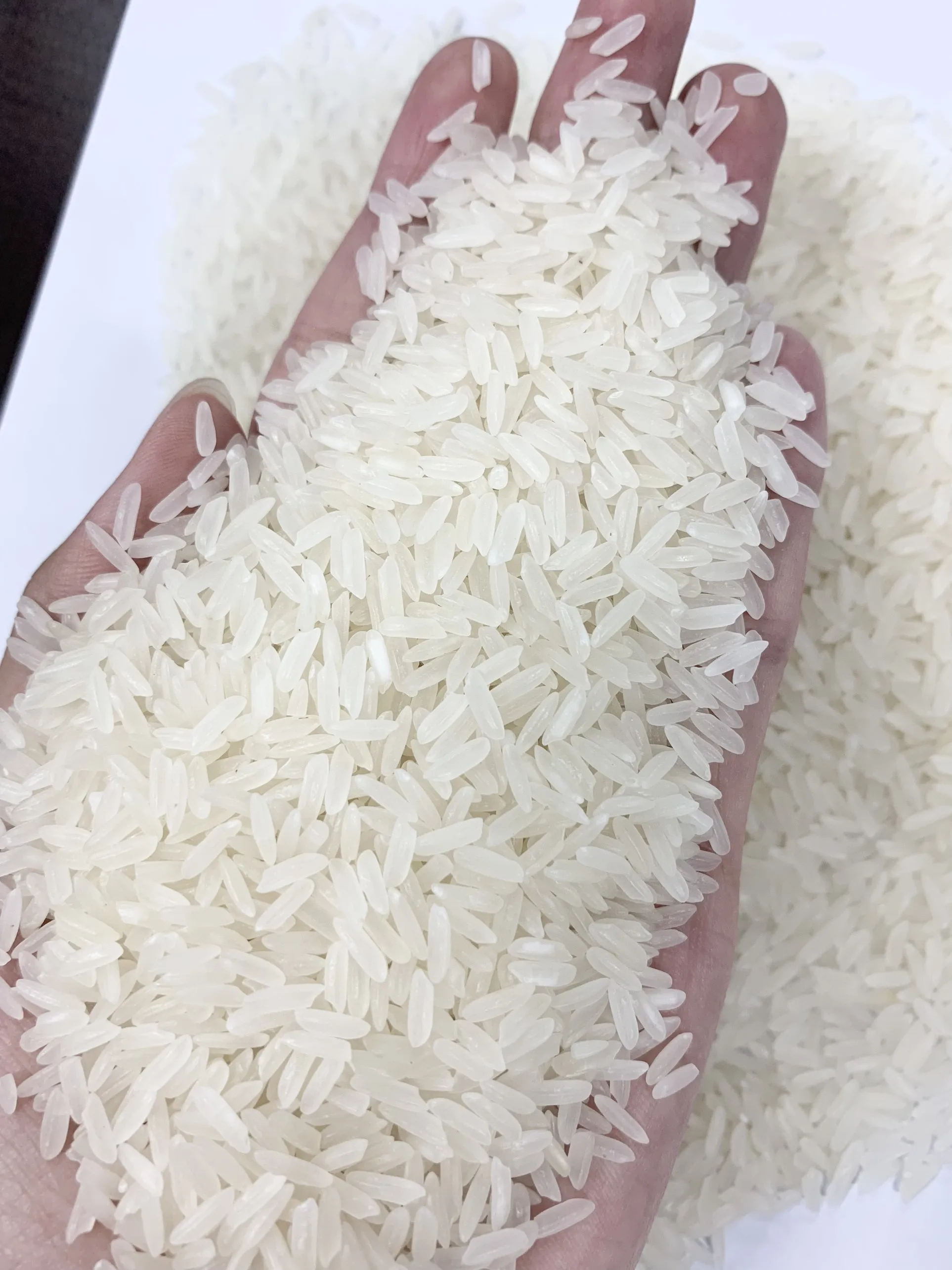 Cheapest price Vietnam white rice 15% broken (OM5451) long grain best quality +84 904 312 620