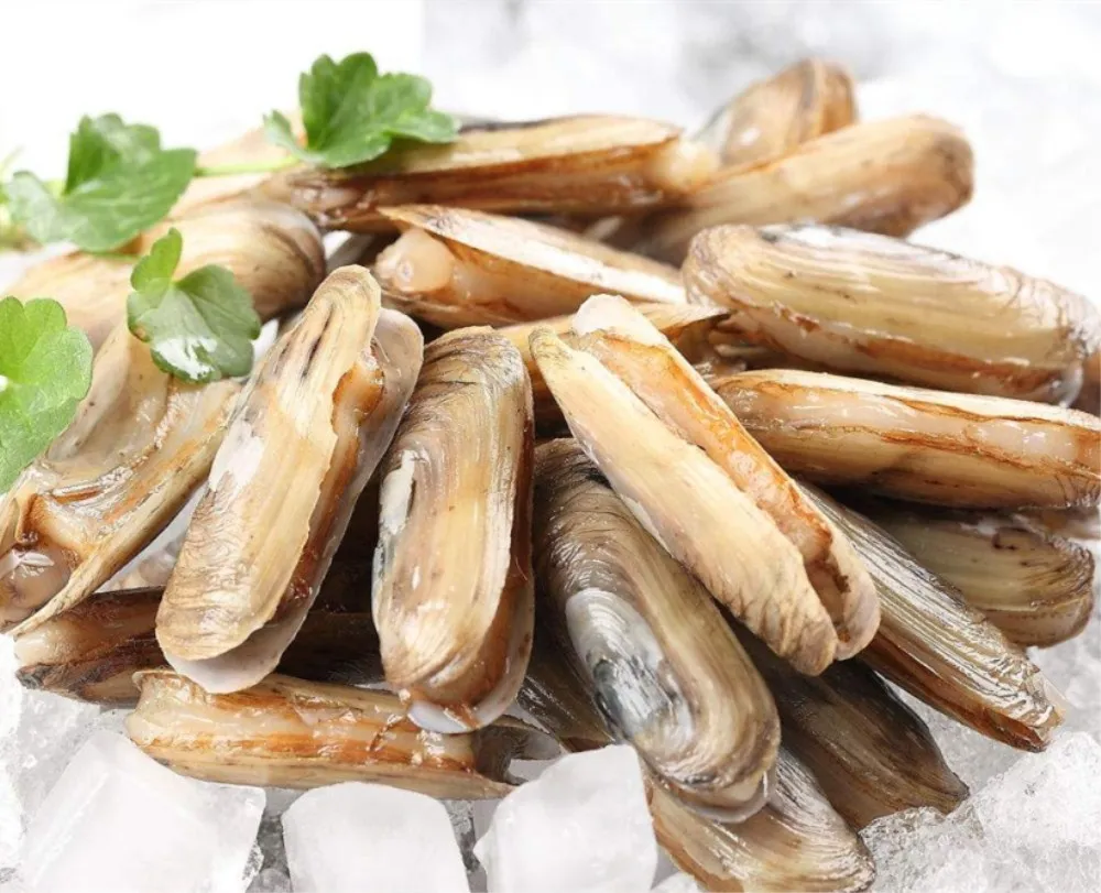 
Competitive Price Delicious IQF Frozen Razor Clam 