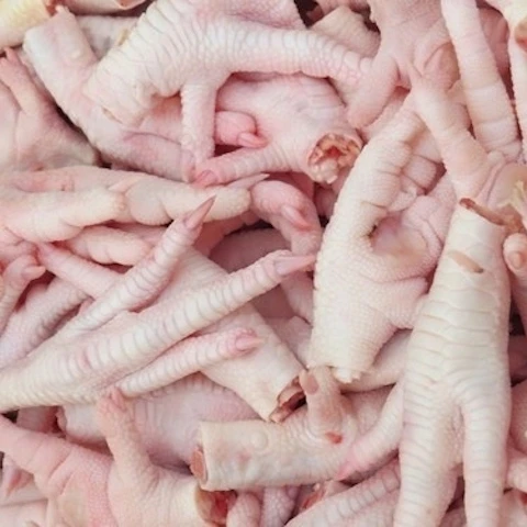  Processed Frozen Chicken Feet Paws