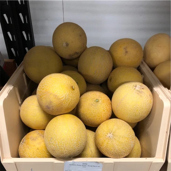 
FRESH EDIBLE SWEET MELON 2021 