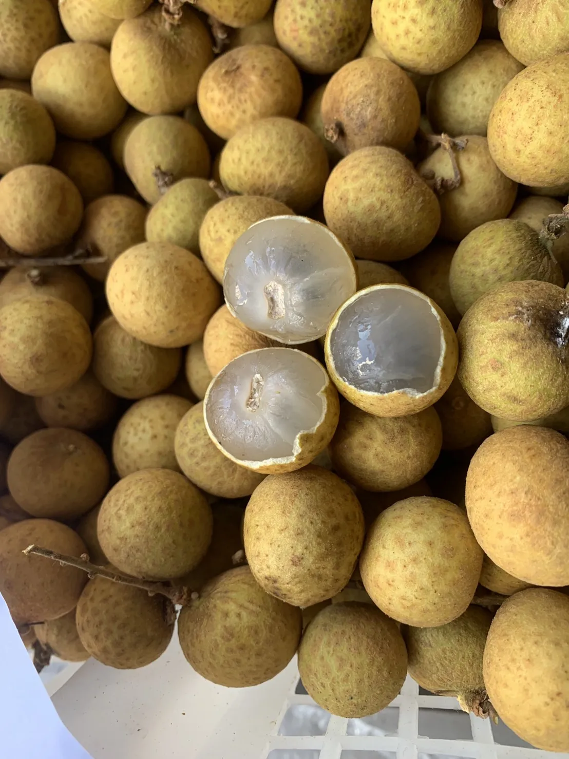 Премиум-продукт, натуральный сладкий свежий Таиланд, фрукты лунань