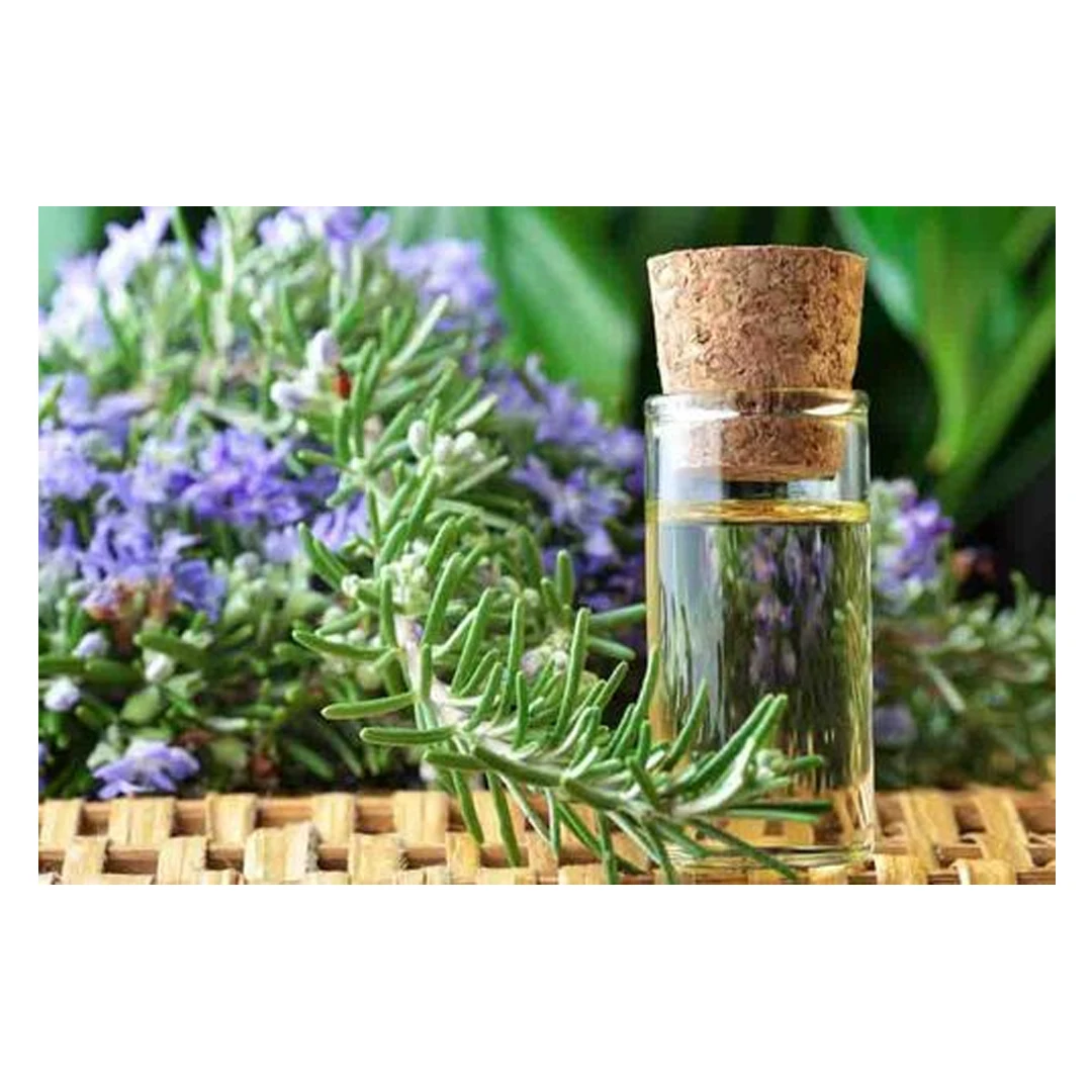 Good Quality 100% Pure RoseMary Essential Oil at Affordable Rates