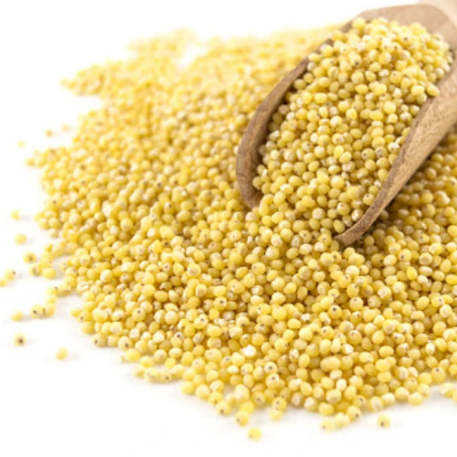 Hot Selling Sunflower Seeds Good Price