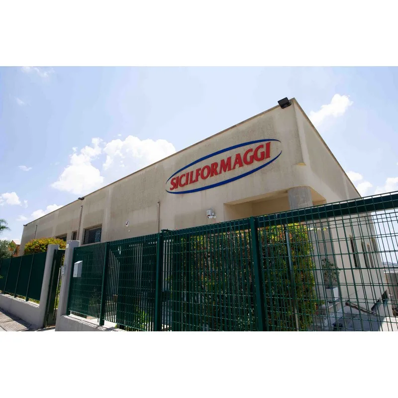 Superior Quality Italian PEZZETTONI sheep milk fresh cheese with ginger 0.5 kg ready for export