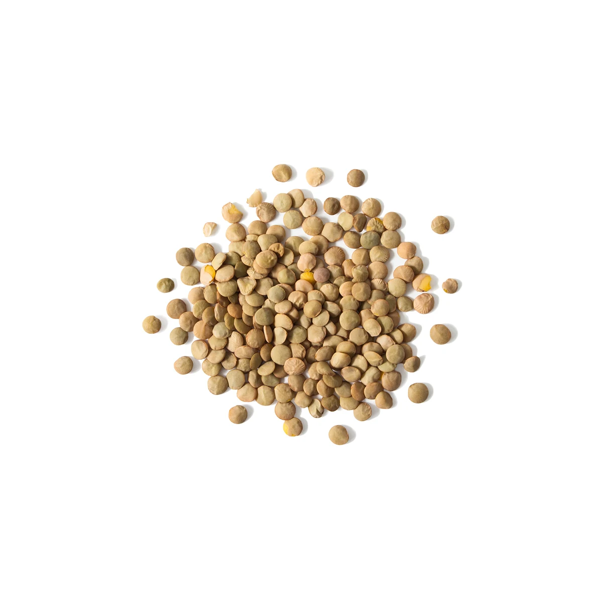 Сушеная цельная линза отличного качества, высокая питательная ценность, красная линза