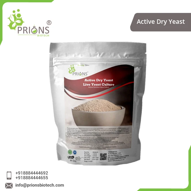 Highest Selling Animal Nutrition Applicable Dry Yeast at Minimal Price
